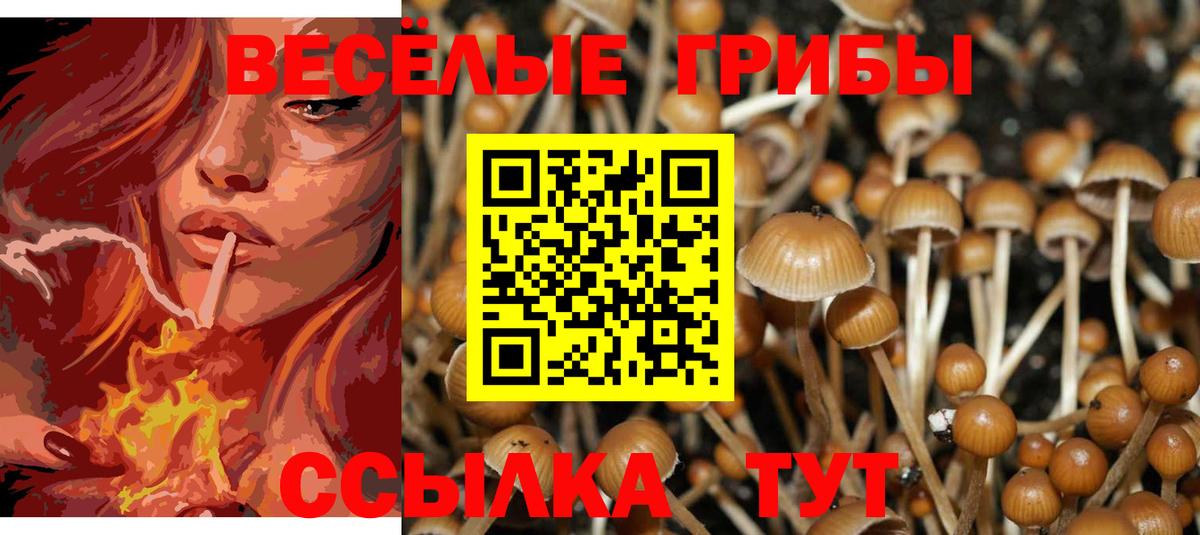 Черкесск  Галлюциногенные грибы мицелий  Вход с VPN  Псилоцибиновые грибы GOLDEN TEACHER 