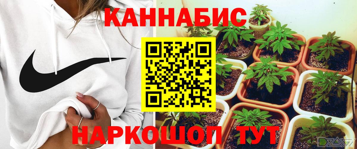 Черкесск  Каннабис SATIVA & INDICA  Шишки марихуана гибрид  Вход с VPN 
